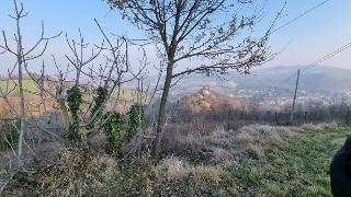 zoom immagine (Terreno 28000 mq, zona Colli / Castiglione / San Mamolo)