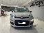 FIAT Panda 0.9 TwinAir Turbo Nat. Pow. Lounge