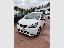 SEAT Mii 1.0 5p. FR Line