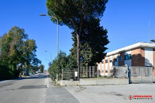 zoom immagine (Palazzo 1000 mq, zona Pomezia - Centro)