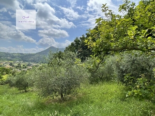 zoom immagine (Terreno 2680 mq, zona Galzignano Terme)