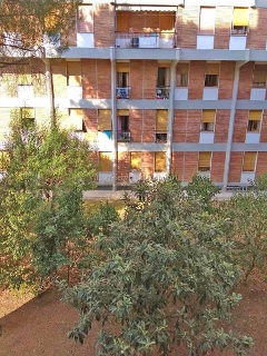 zoom immagine (Appartamento 55 mq, soggiorno, 1 camera, zona Periferia)