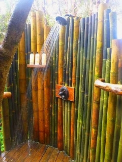 zoom immagine (Canne di bambù bambu con diametro da 1 a 10 cm)