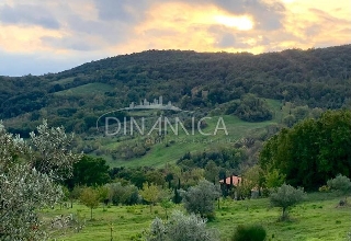 zoom immagine (Terreno 682599 mq, zona Serrazzano)